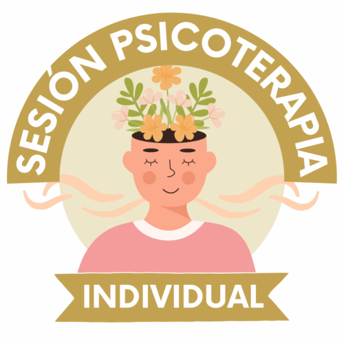 Sesión individual psicoterapia