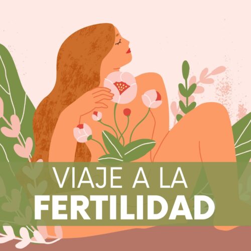 Curso viaje a la fertilidad
