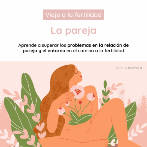 Curso Viaje a la Fertilidad. Etapa 4: La pareja
